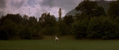 屋顶上的轻骑兵剧照的剧照