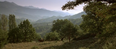 屋顶上的轻骑兵剧照的剧照