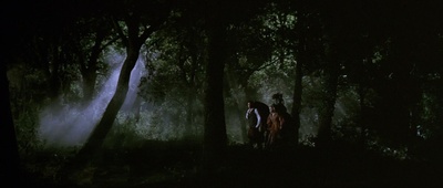 屋顶上的轻骑兵剧照的剧照