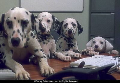 102真狗剧照的剧照