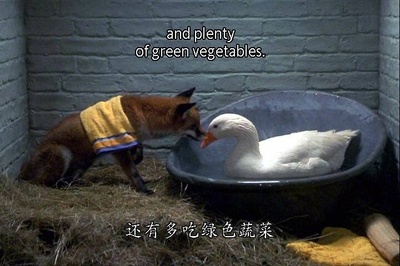 102真狗剧照的剧照