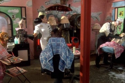 102真狗剧照的剧照