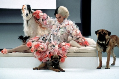 102真狗剧照的剧照