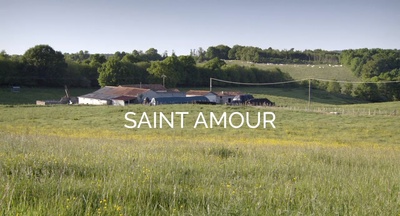 圣爱之旅剧照的剧照