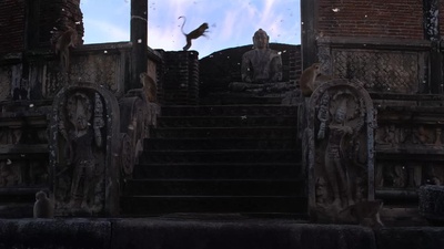 猴子王国剧照的剧照