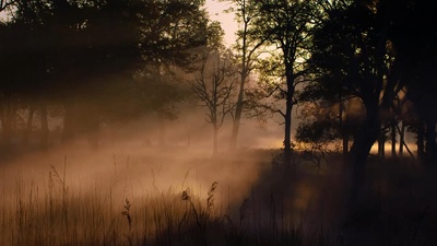 猴子王国剧照的剧照