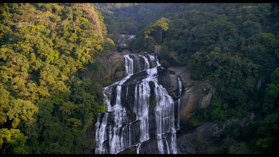 猴子王国剧照的剧照