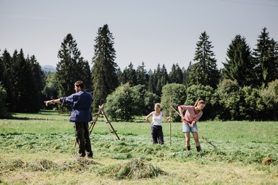 转向风剧照的剧照