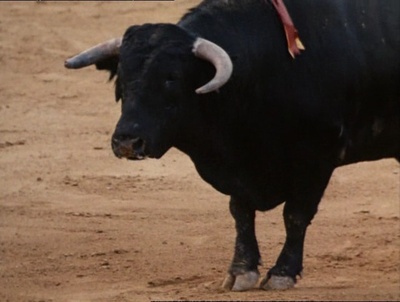 致命美人心剧照的剧照