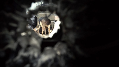 刹车剧照的剧照