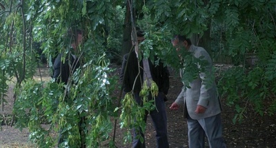 卡珊德拉之梦剧照的剧照