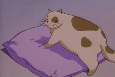 新橙路：那个夏天的开始剧照的剧照