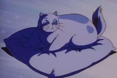 新橙路：那个夏天的开始剧照的剧照