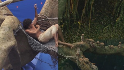 少年派后的日子剧照的剧照