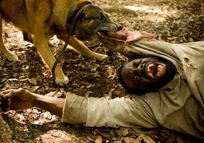 被解救的姜戈剧照的剧照