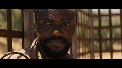 被解救的姜戈剧照的剧照