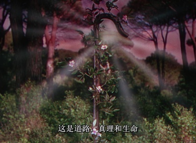 暴君焚城录剧照的剧照