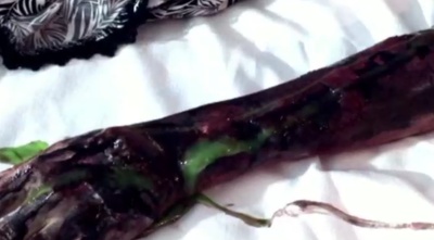 痛苦圣经2剧照的剧照