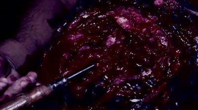 痛苦圣经2剧照的剧照