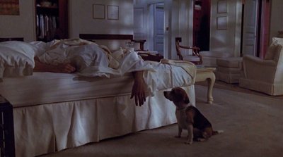 意外的人生剧照的剧照