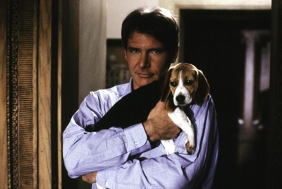 意外的人生剧照的剧照