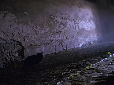 少年印第安纳琼斯大冒险：邪恶面具剧照的剧照