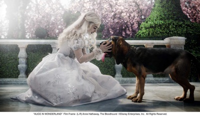 爱丽丝梦游仙境剧照的剧照