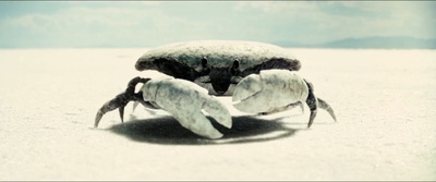 加勒比海盗3：世界的尽头剧照的剧照