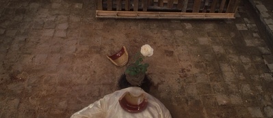 功夫剧照的剧照