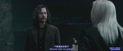 哈利·波特与凤凰社剧照的剧照