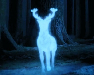 哈利·波特与凤凰社剧照的剧照