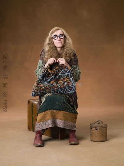 哈利·波特与凤凰社剧照的剧照