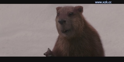 纳尼亚传奇1：狮子、女巫和魔衣橱剧照的剧照