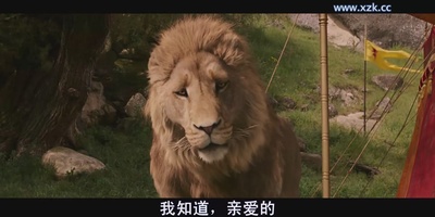 纳尼亚传奇1：狮子、女巫和魔衣橱剧照的剧照