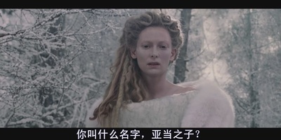纳尼亚传奇1：狮子、女巫和魔衣橱剧照的剧照