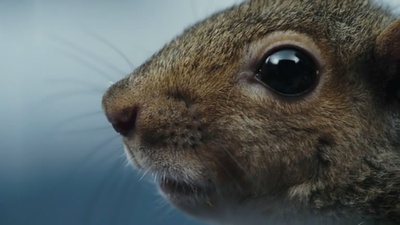 查理和巧克力工厂剧照的剧照