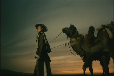 新龙门客栈剧照的剧照