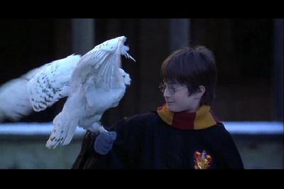 哈利·波特与魔法石剧照的剧照