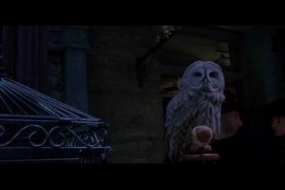 哈利·波特与魔法石剧照的剧照