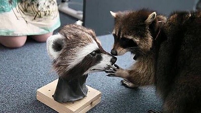 银河护卫队剧照的剧照