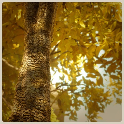 怪兽大学剧照的剧照