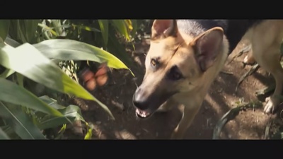 我是传奇剧照的剧照