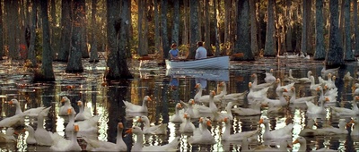 恋恋笔记本剧照的剧照