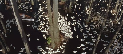 恋恋笔记本剧照的剧照