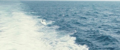 恐怖游轮剧照的剧照