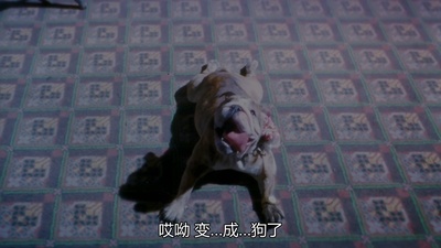 食神剧照的剧照