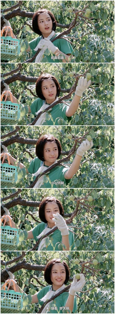 海街日记剧照的剧照