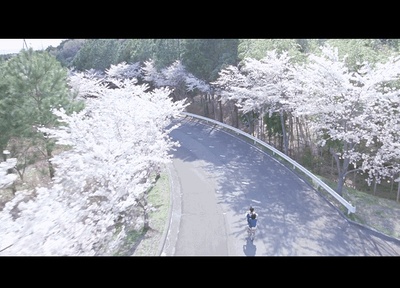 海街日记剧照的剧照