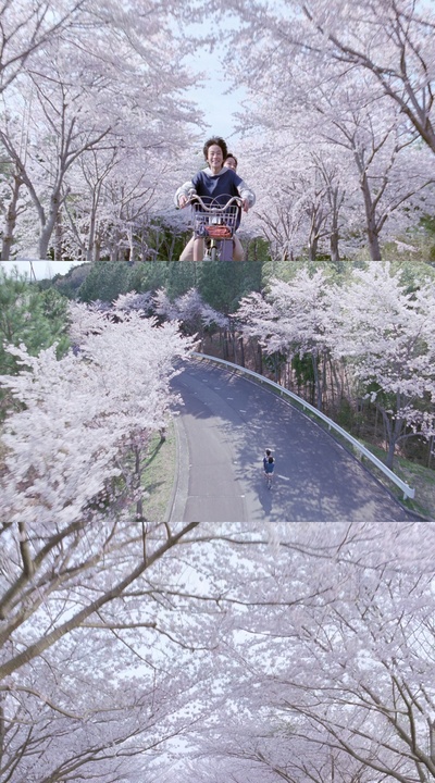 海街日记剧照的剧照