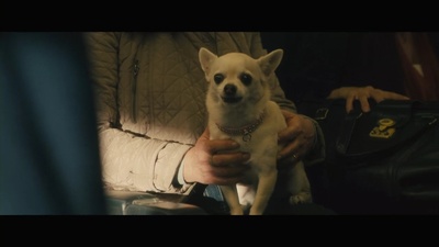 僵尸世界大战剧照的剧照